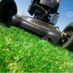 Lawn Maintenance Website Design